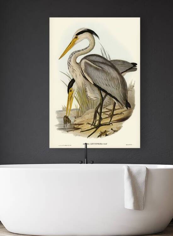 Great Blue Heron by History In Your Home