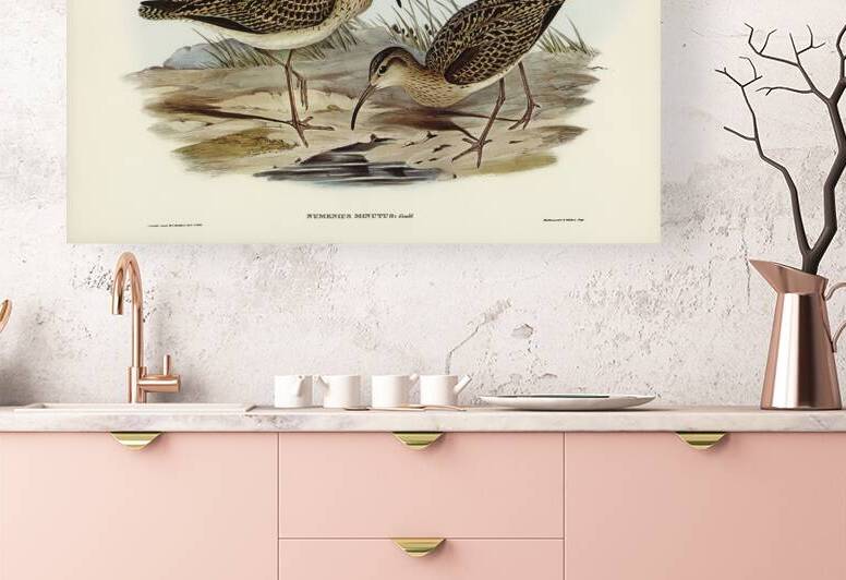 Little Curlew by History In Your Home