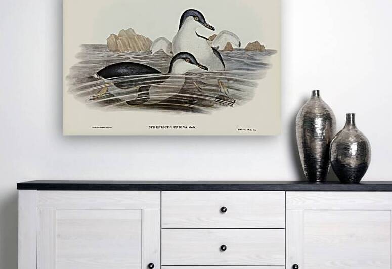Little Penguin 2 by History In Your Home