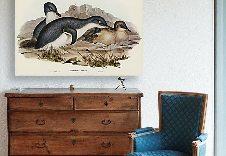 Little Penguin by History In Your Home