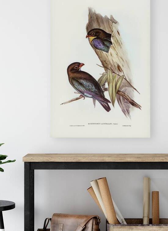 Oriental Dollarbird by History In Your Home