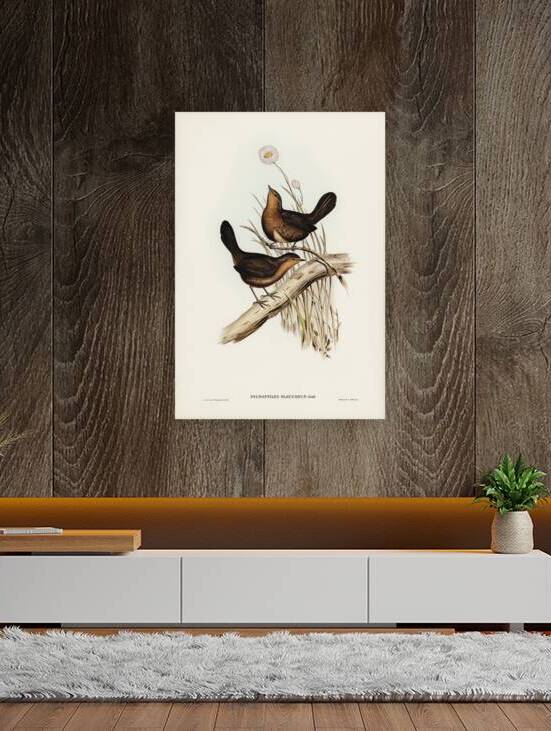 Pilotbird by History In Your Home