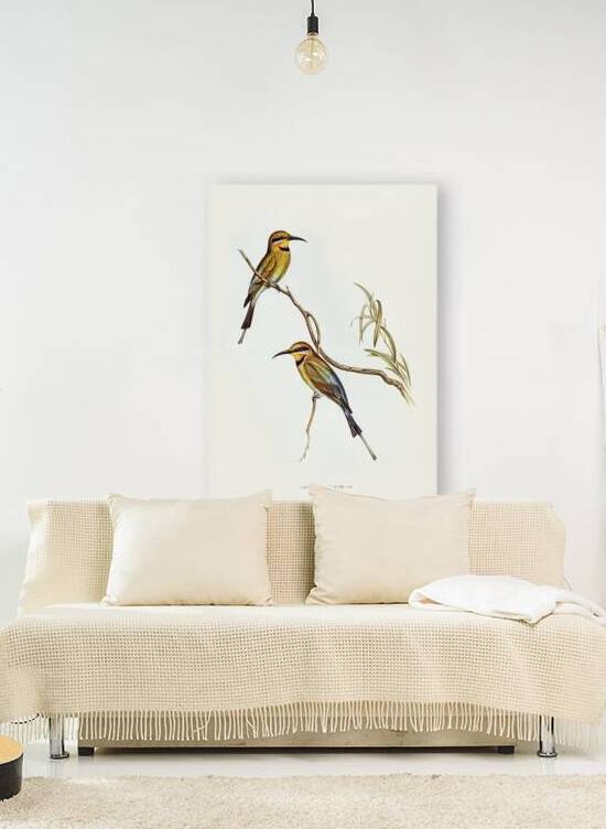 Rainbow Bee Eater by History In Your Home
