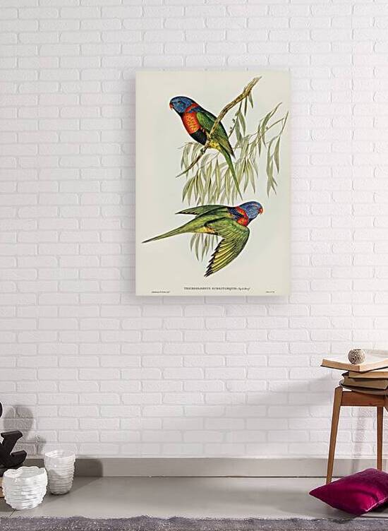 Red Collared Lorikeet by History In Your Home