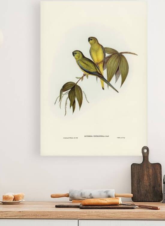 Rock Parrot by History In Your Home