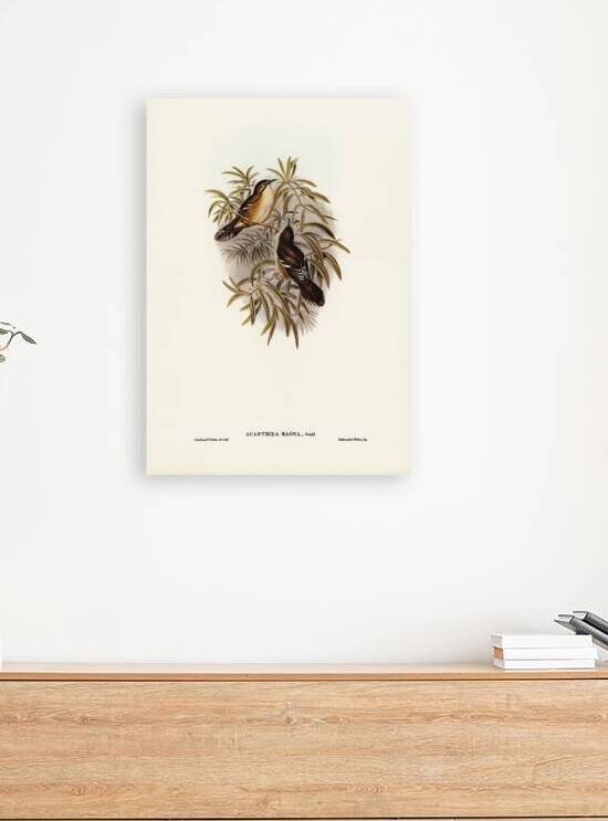 Scrubtit by History In Your Home
