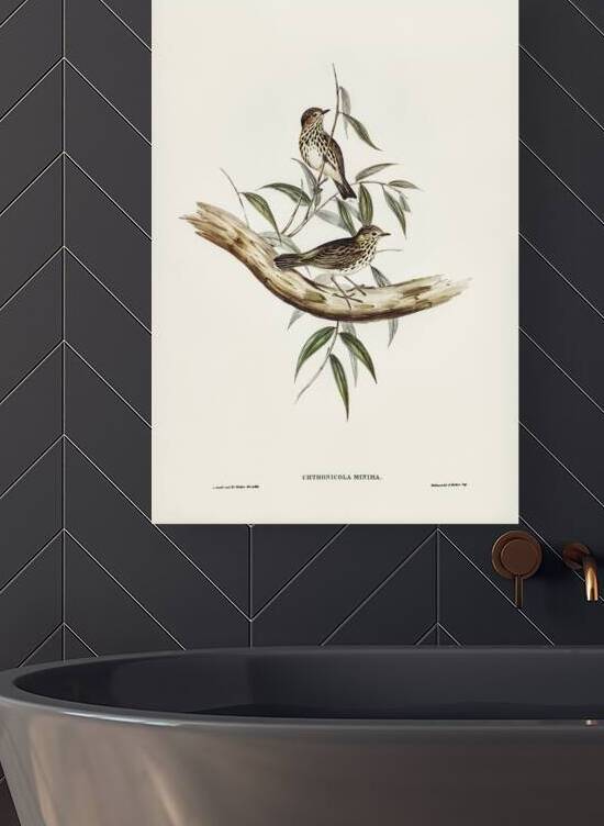 Speckled Warbler by History In Your Home