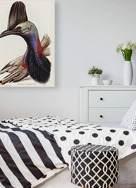 Southern Cassowary by History In Your Home