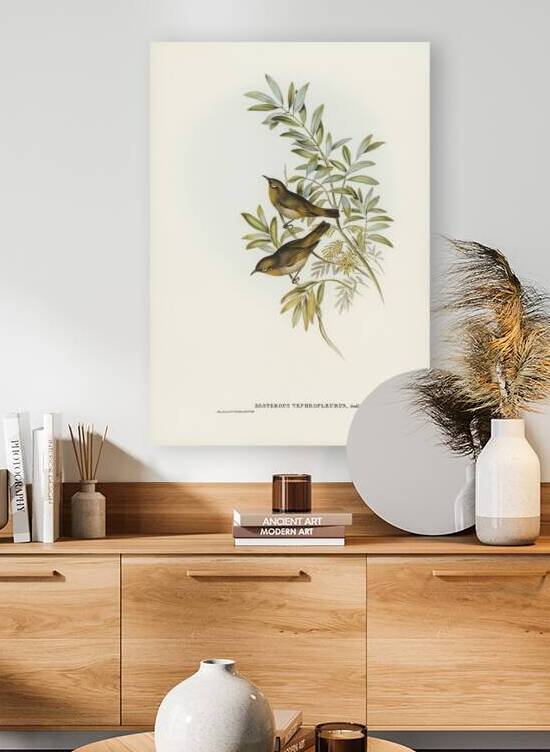 Silvereye by History In Your Home