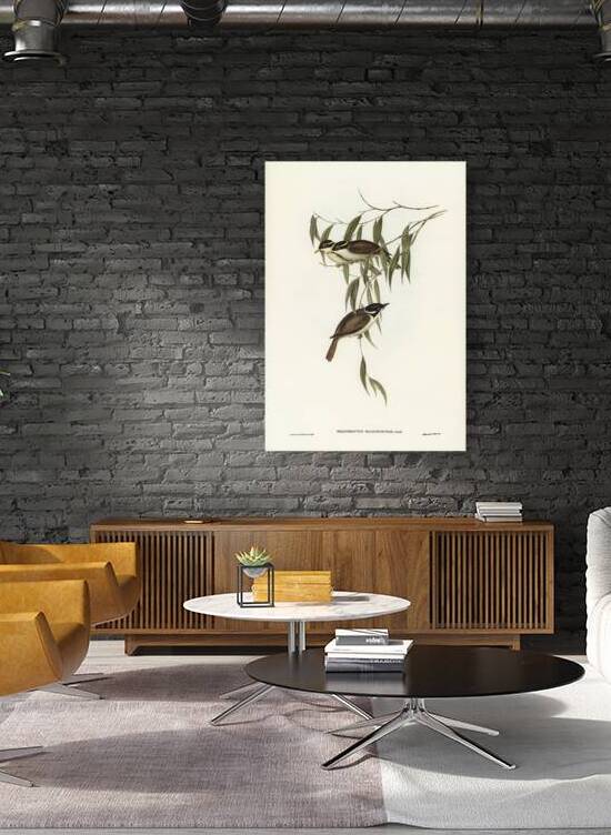 Strong Billed Honeyeater by History In Your Home