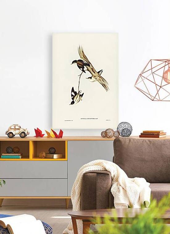 Varied Sittella 2 by History In Your Home