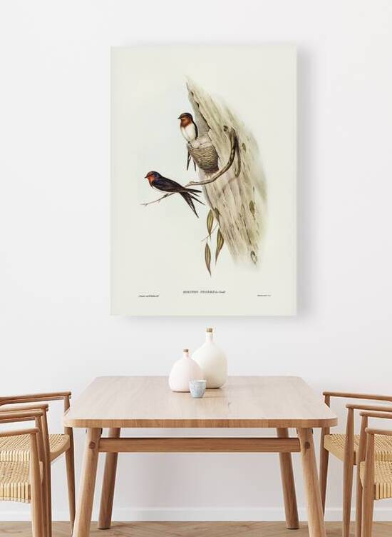 Welcome Swallow by History In Your Home