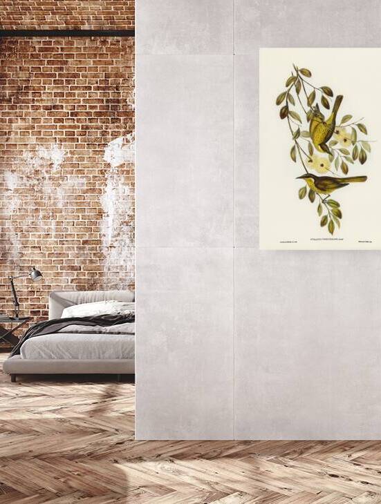 Varied Honeyeater by History In Your Home