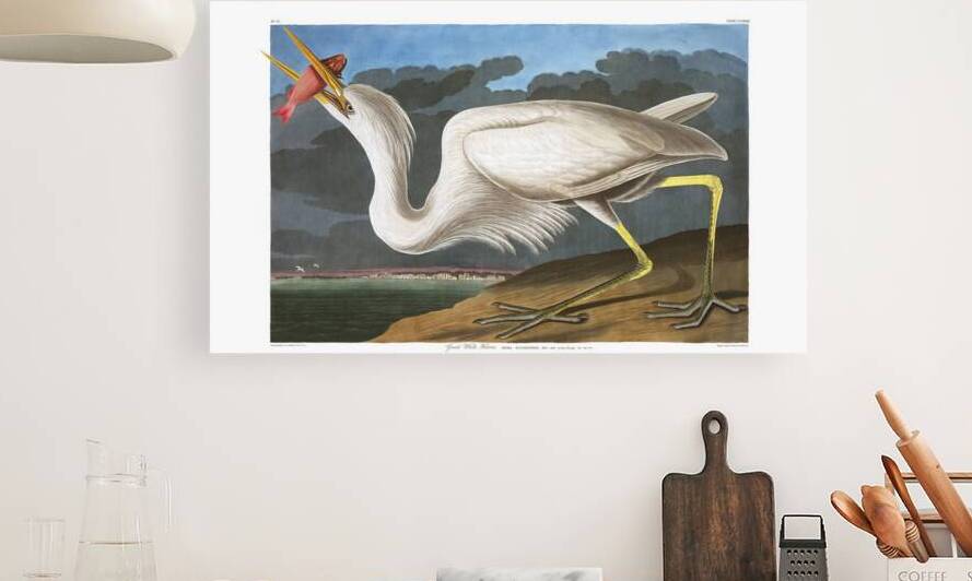 Plate 281 Great White Blue Heron by History In Your Home