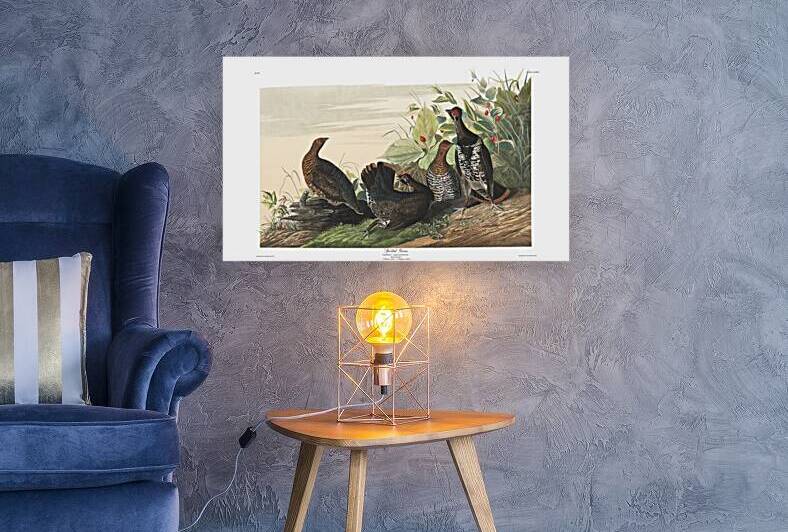 Plate 176 Spotted Grouse by History In Your Home