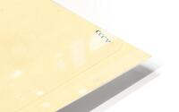 Vicuna HD Metal print