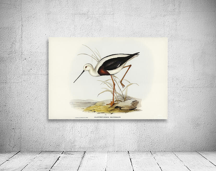 Banded Stilt Wall Preview