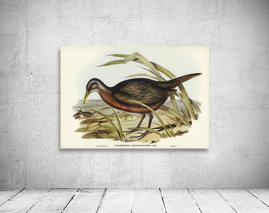 Chestnut Rail Wall Preview