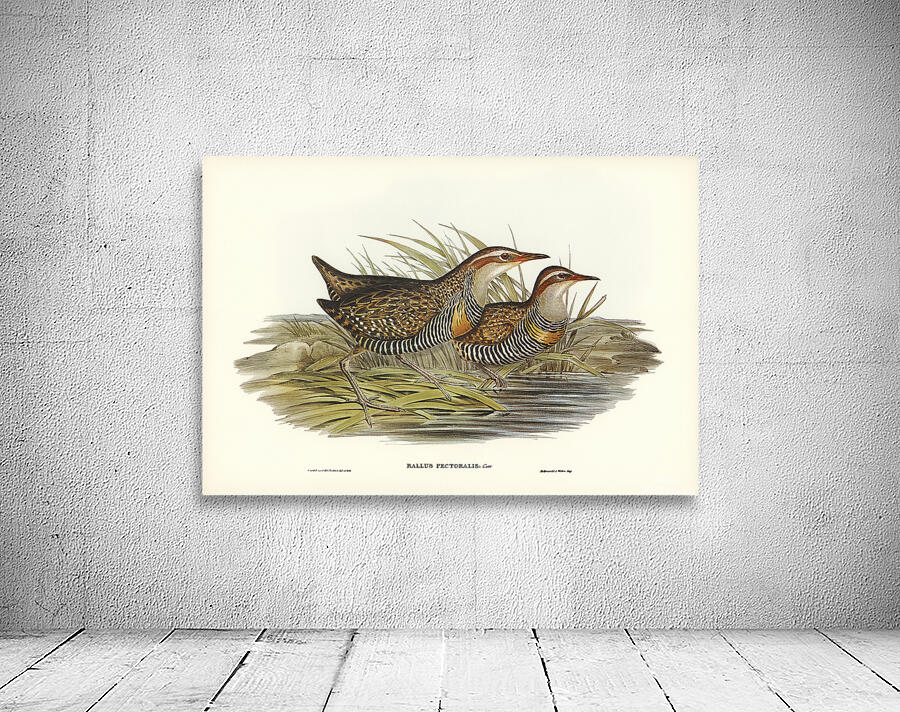 Buff Banded Rail Wall Preview