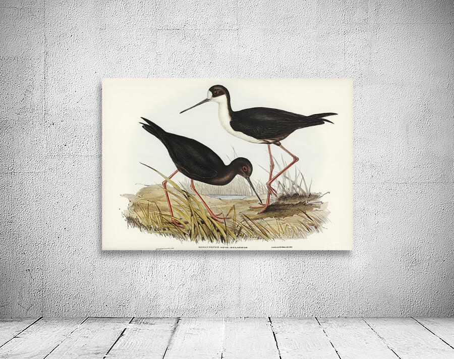 Black Stilt Wall Preview