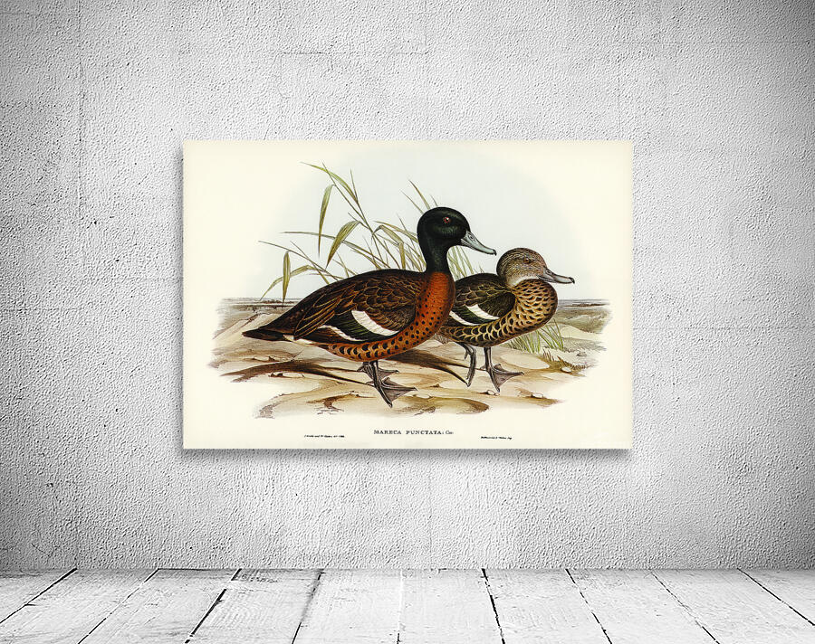 Chestnut Teal Wall Preview