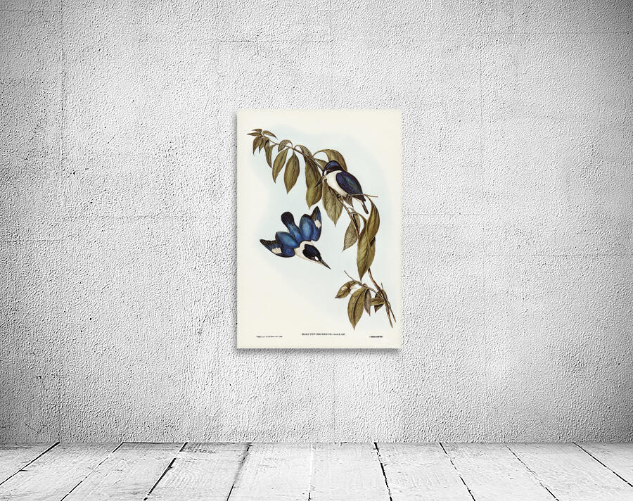Forest kingfisher Wall Preview