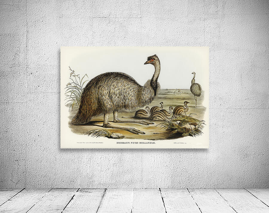 Emu Wall Preview