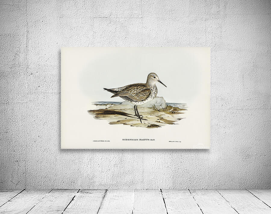 Great Knot Wall Preview