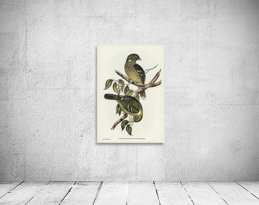 Green Catbird Wall Preview