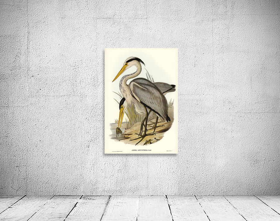 Great Blue Heron Wall Preview