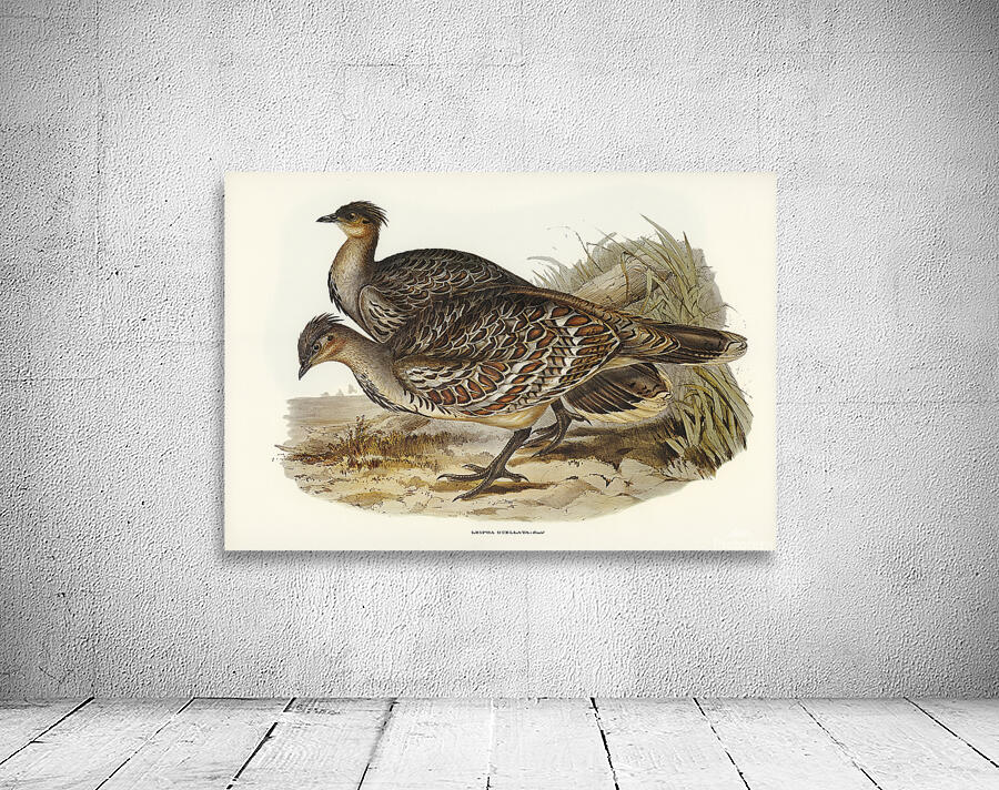 Malleefowl Wall Preview