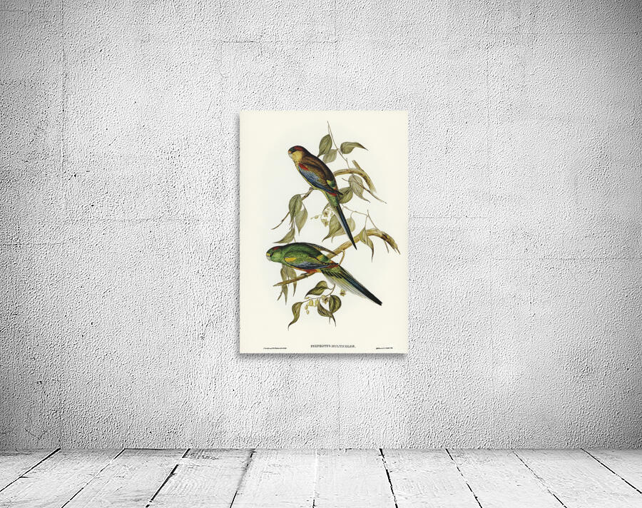 Mulga Parrot Wall Preview