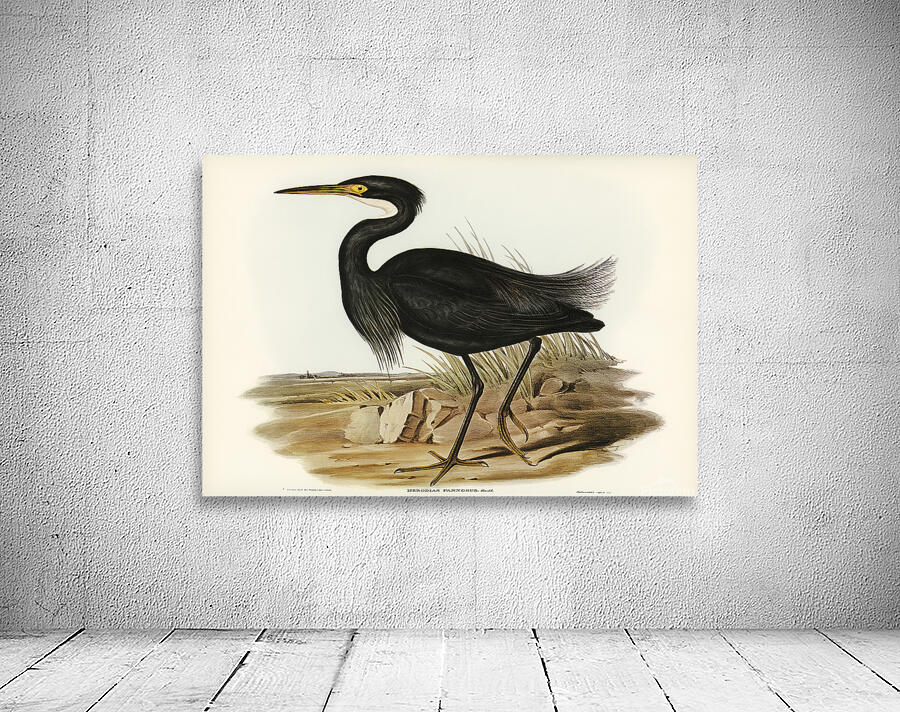 Little Egret 2 Wall Preview