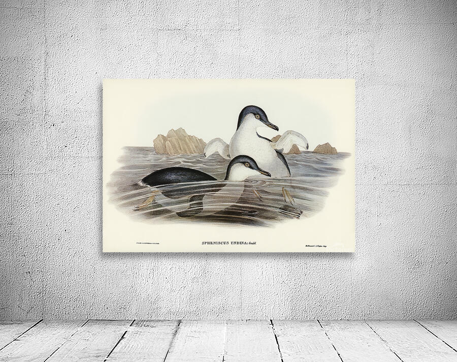 Little Penguin 2 Wall Preview