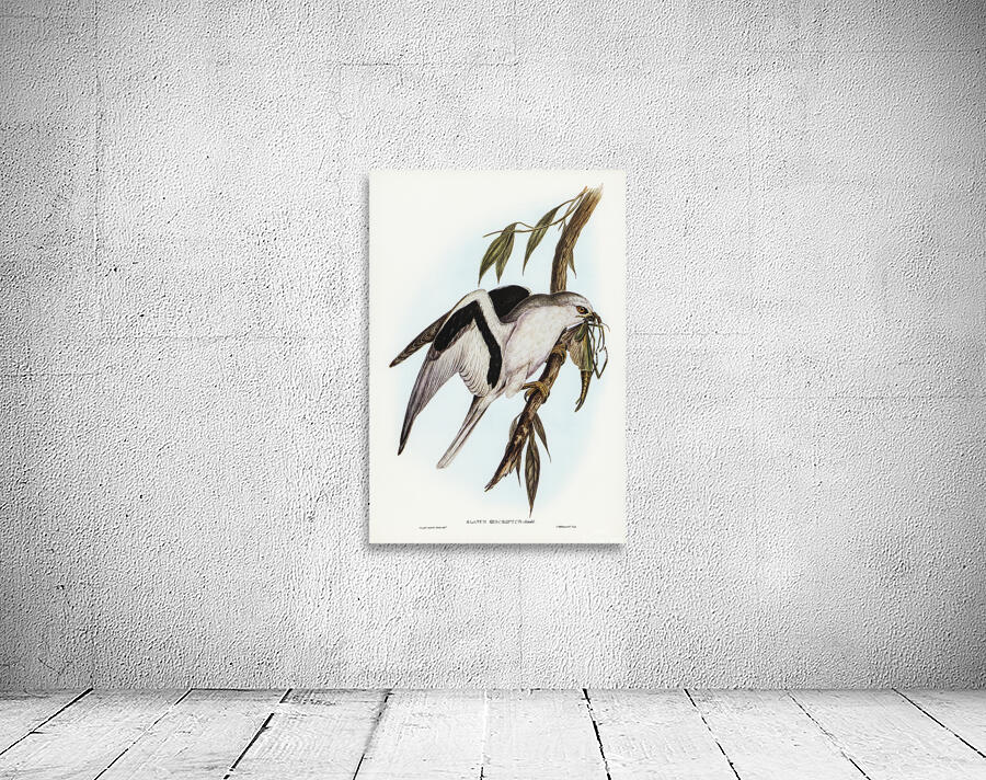 Letter Winged Kite Wall Preview