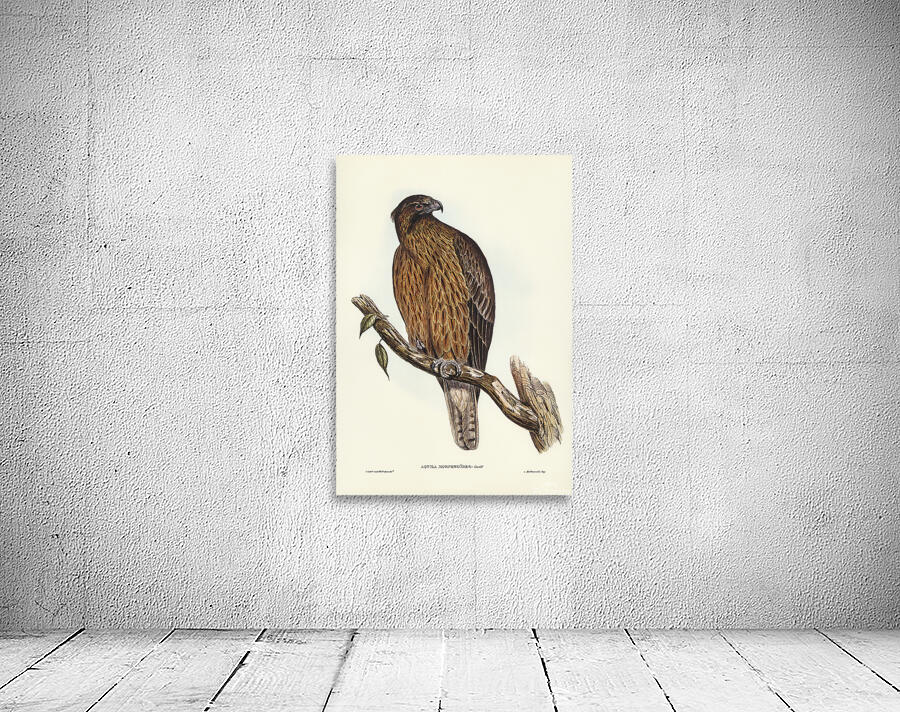 Little eagle Wall Preview