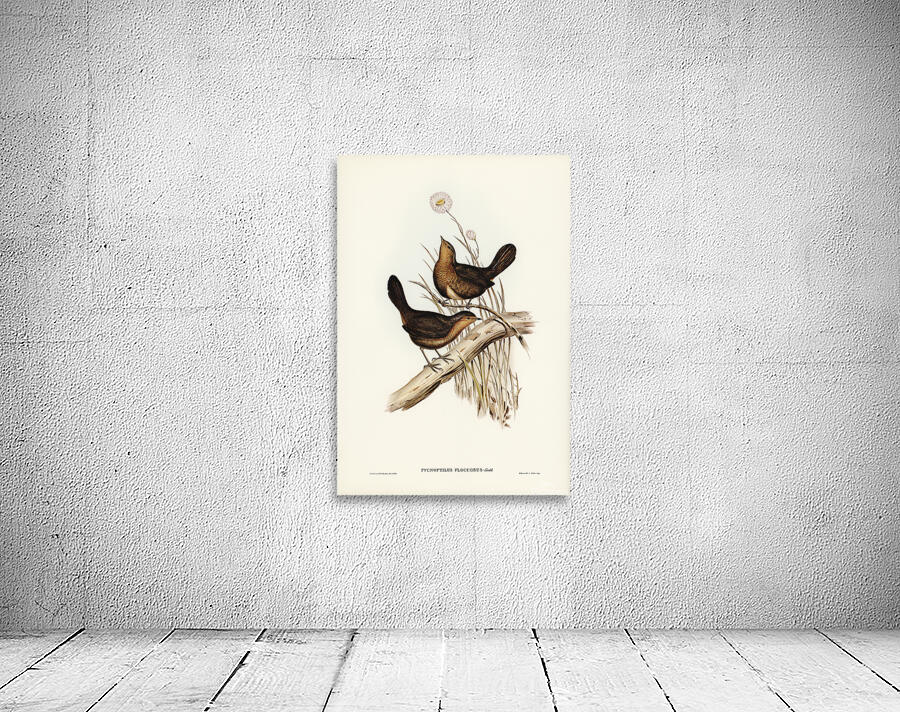 Pilotbird Wall Preview