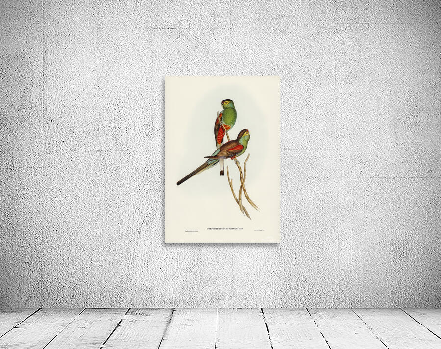 Paradise Parrot Wall Preview