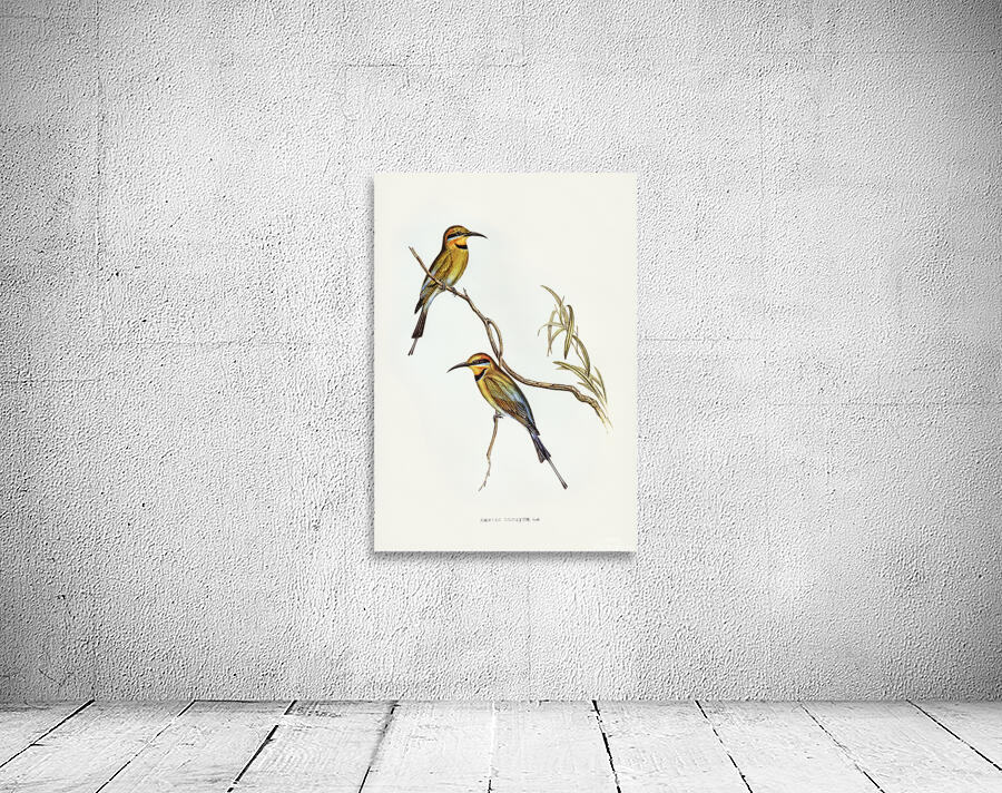 Rainbow Bee Eater Wall Preview