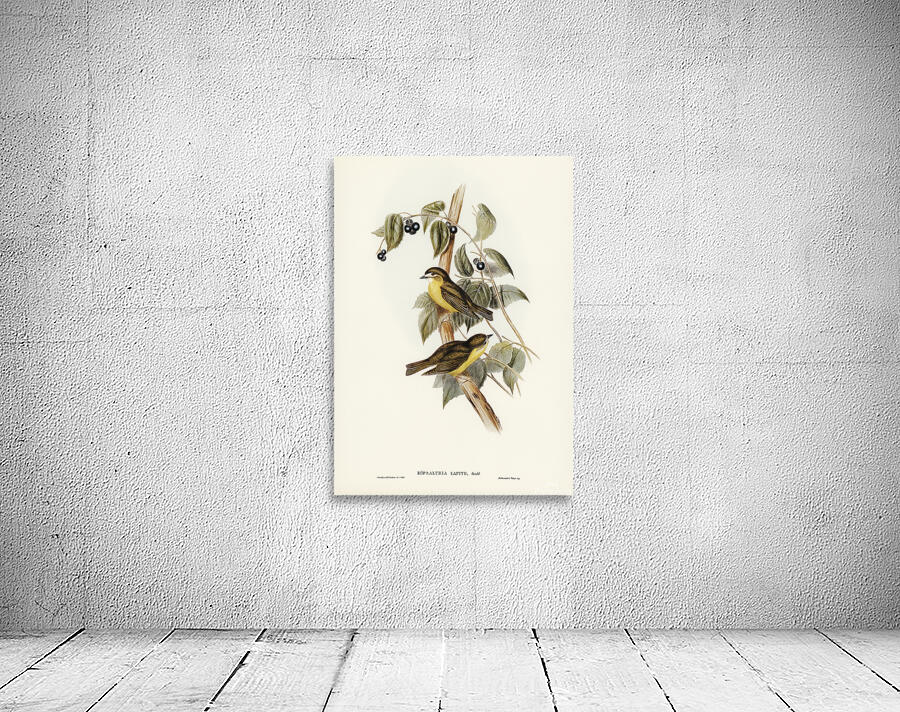 Pale Yellow Robin Wall Preview