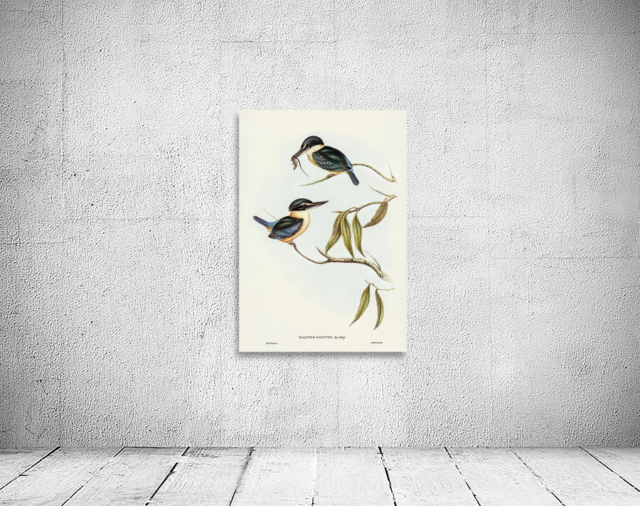Sacred Kingfisher Wall Preview