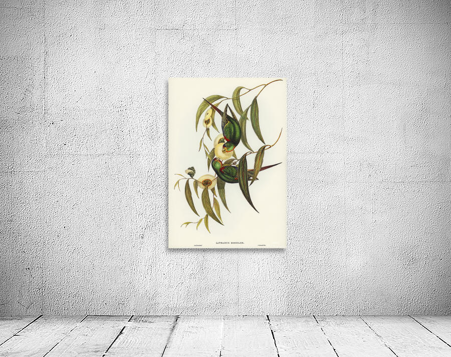 Swift Parrot Wall Preview