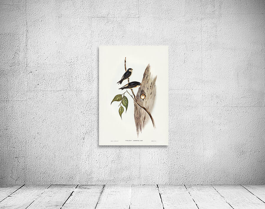 Tree Martin Wall Preview