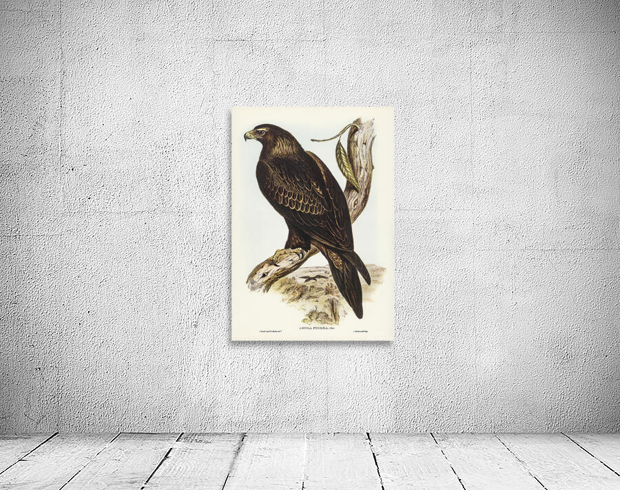 Wedge Tailed Eagle Wall Preview