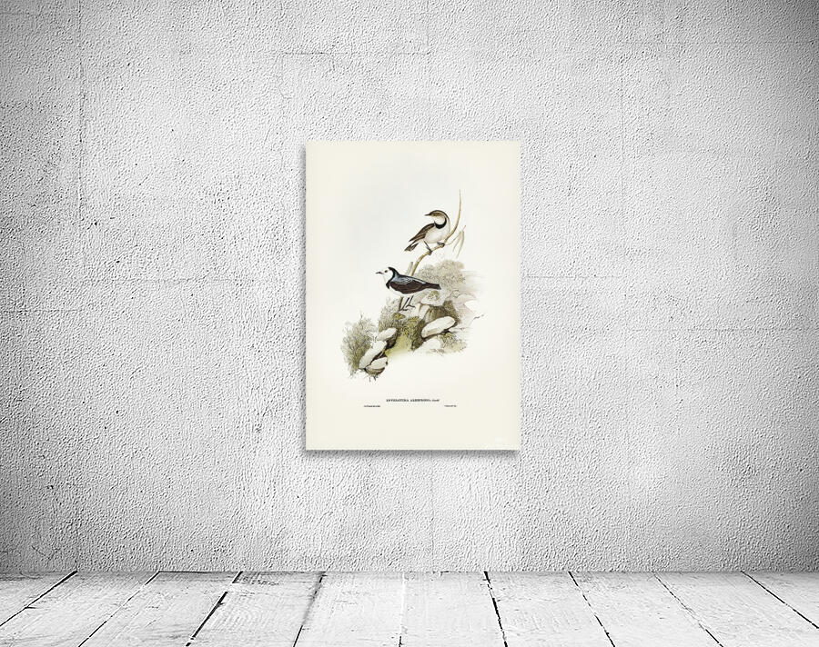 White Fronted Chat Wall Preview