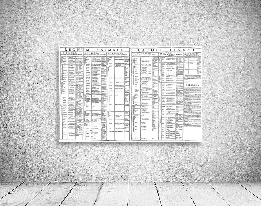 1735 Linnaean Animal Taxonomy Chart – Foundational Scientific Diagram ...