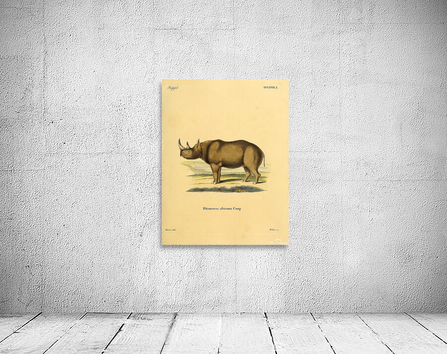 Black Rhino Wall Preview