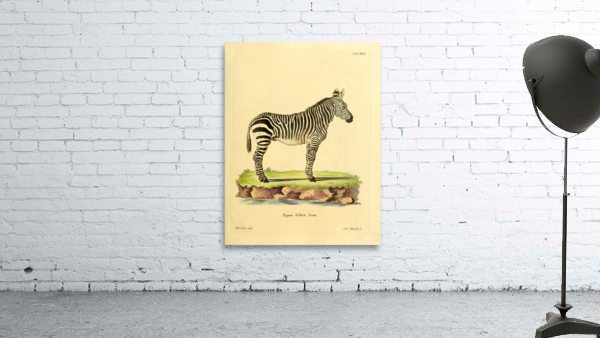 Zebra Wall Preview