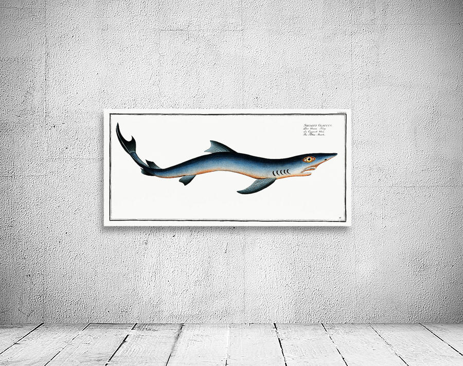 Blue Shark Wall Preview