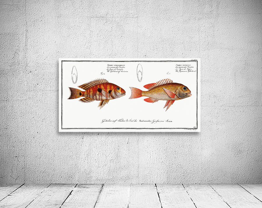 Japanese Threadfin Bream and Redstriped Eartheater Wall Preview